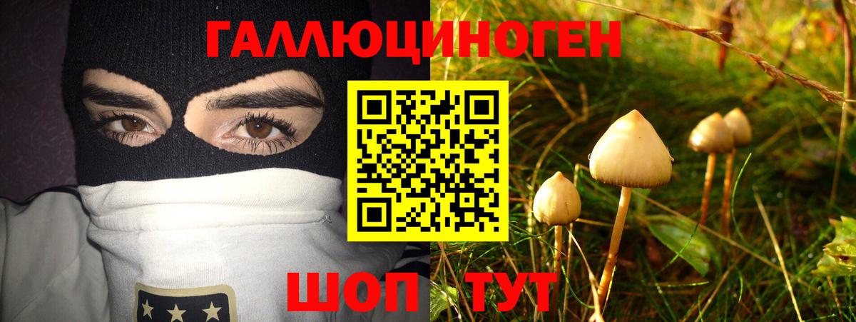 Псилоцибиновые грибы MAGIC MUSHROOMS  Галлюциногенные грибы MAGIC MUSHROOMS  Кольчугино  Вход с VPN 